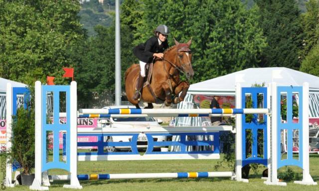 Ruin Selle Français Te koop 2021 Vos