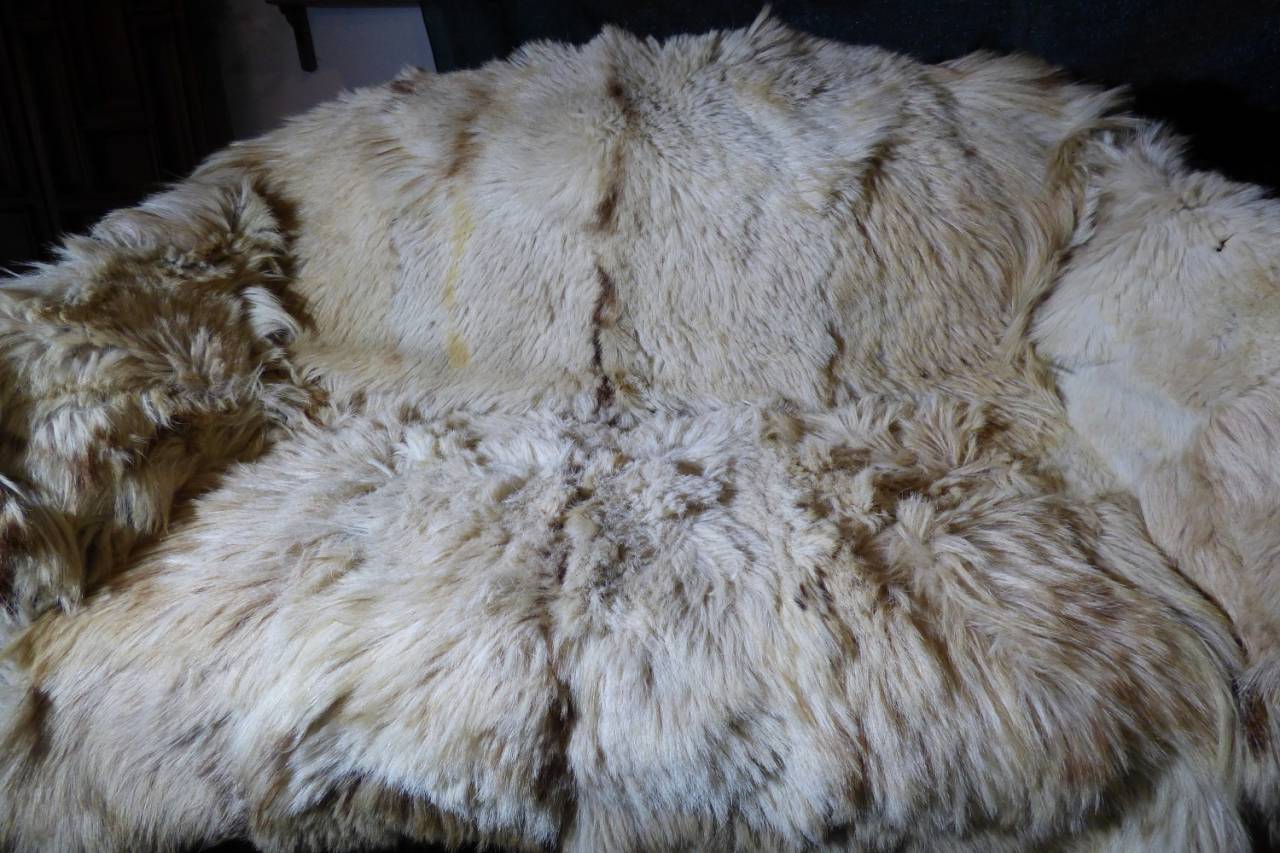 Rijtuigen - Ander rijtuig   