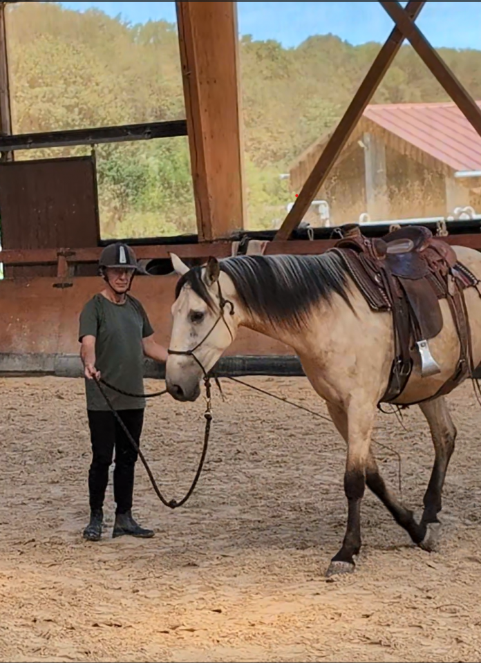 Ruin PRE Puur Ras Spaans Te koop 2022 Isabel