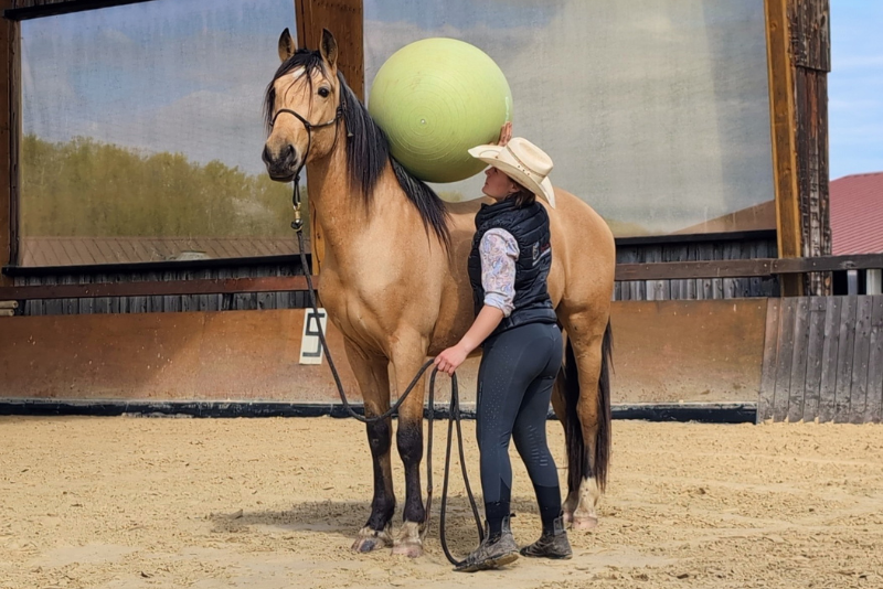 Ruin PRE Puur Ras Spaans Te koop 2021 Isabel