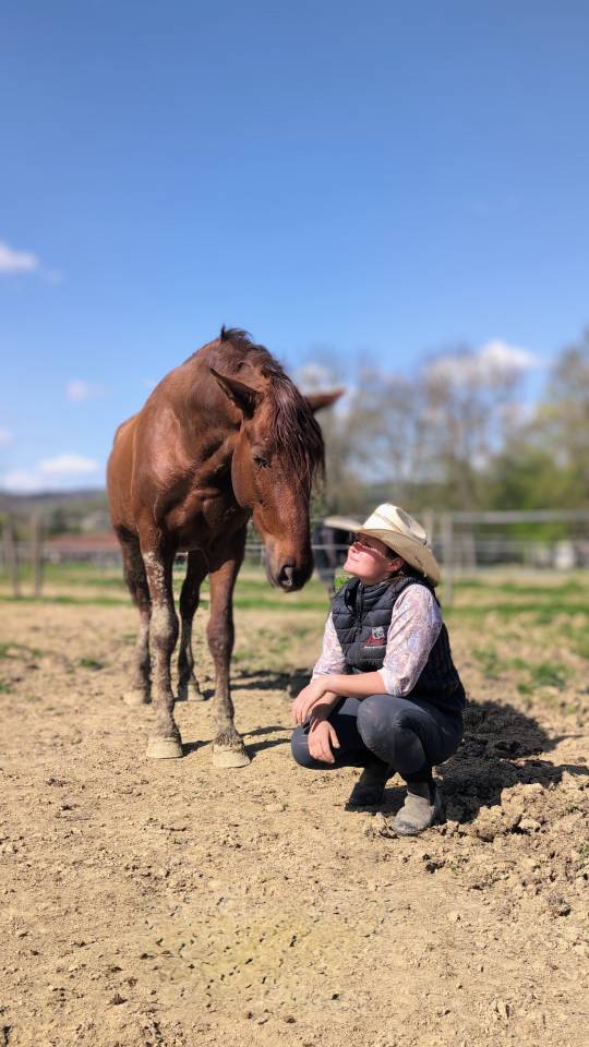 Hengst PRE Puur Ras Spaans Te koop 2022 Vos ,  CAPRICHOSO MANGO