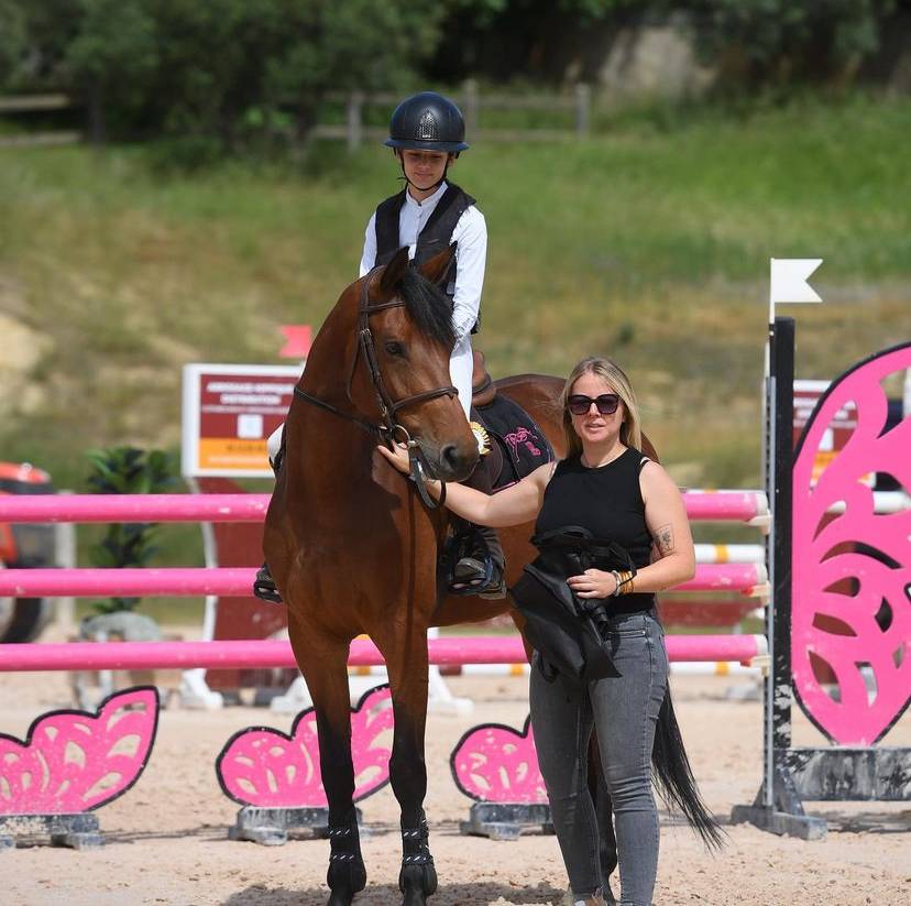 Merrie BWP Belgisch volbloed Te koop 2017 Donker bruin / bai ,  ELDORADO