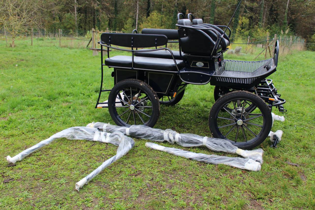 Rijtuigen - Marathon vrijetijd - Ander merk - MARATHON TRAINING TR5 25331 