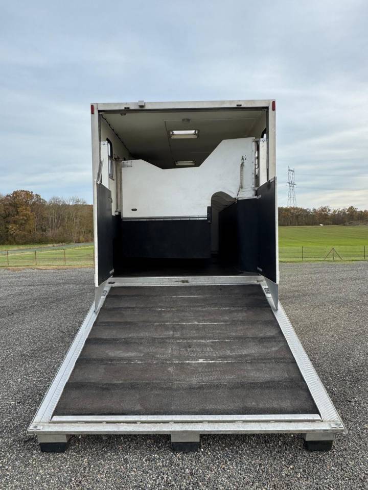 Zware paardenvrachtwagen (groot rijbewijs) Volvo VOLVO 2009 Tweedehands