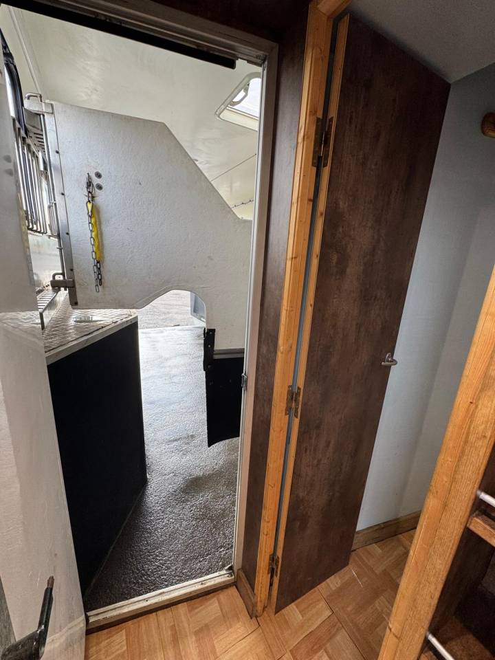 Zware paardenvrachtwagen (groot rijbewijs) Volvo VOLVO 2009 Tweedehands