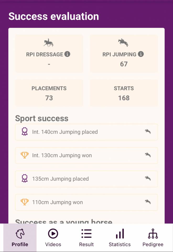 Ruin Oldenburger Te koop 2011 Schimmel ,  Casillas 2