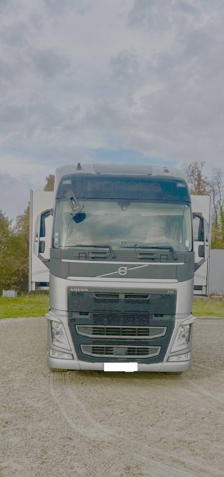 Zware paardenvrachtwagen (groot rijbewijs) Volvo  2018 Tweedehands