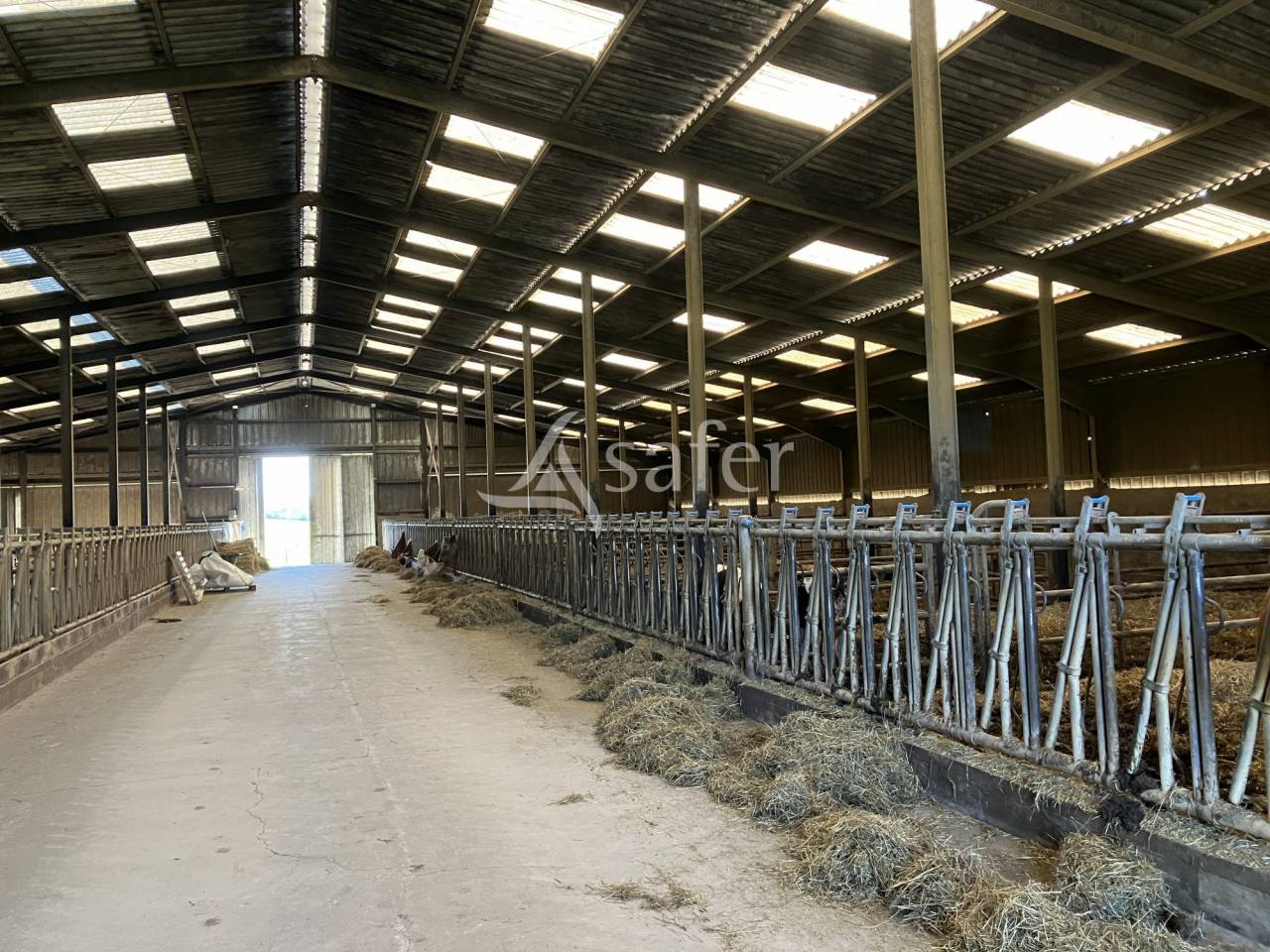 Melk exploitatie Koop Haute-Saône