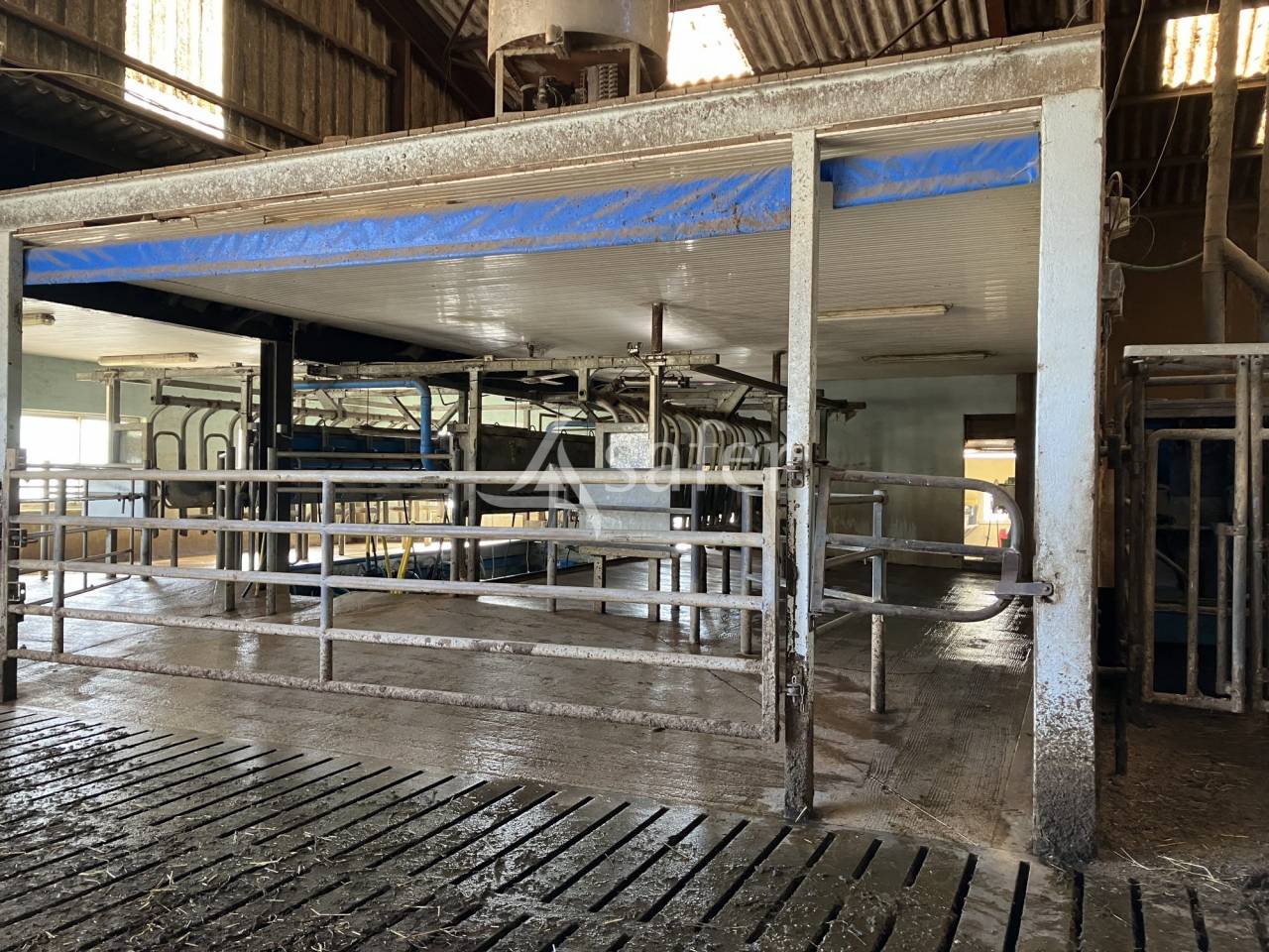 Melk exploitatie Koop Haute-Saône