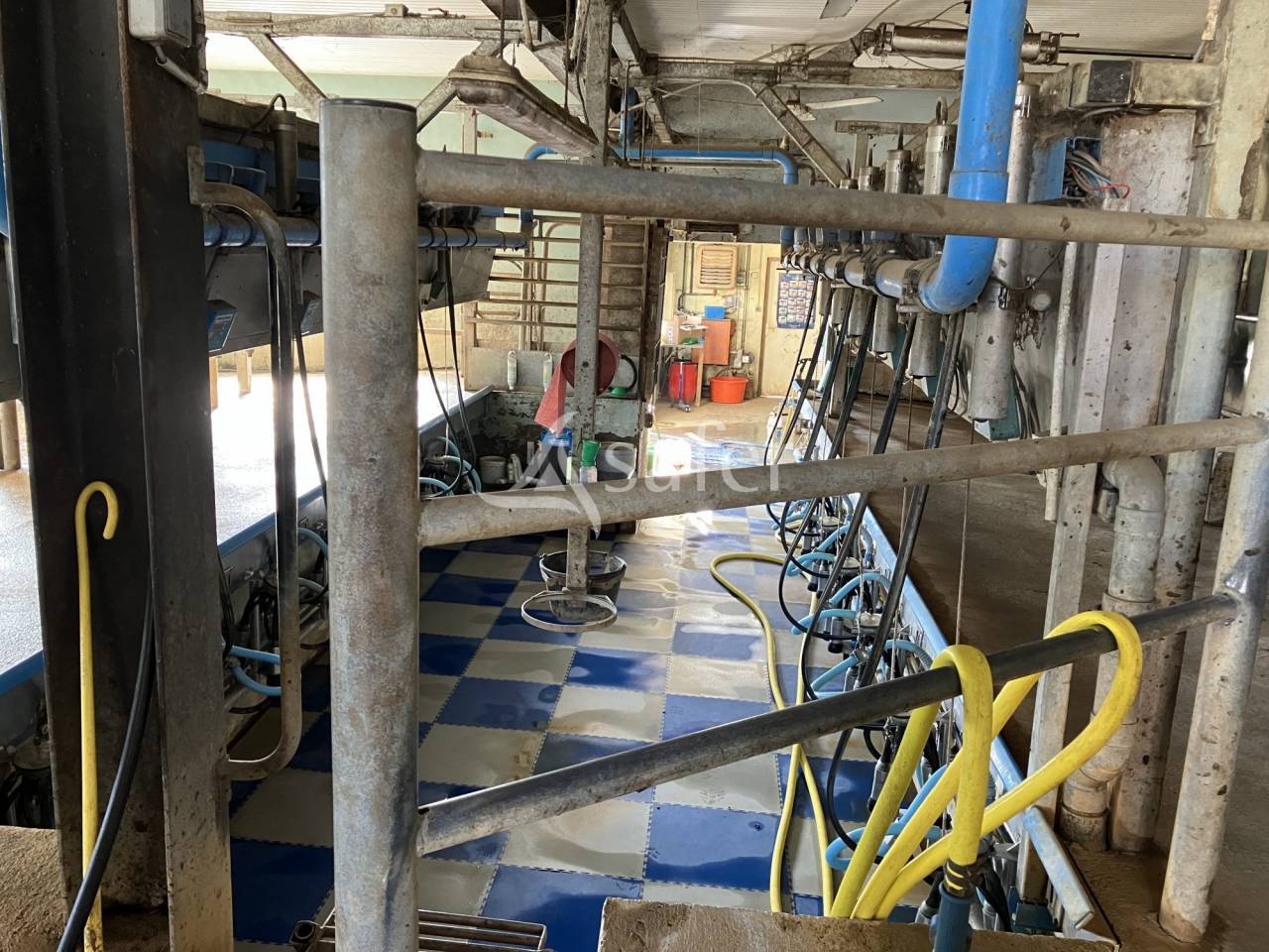 Melk exploitatie Koop Haute-Saône