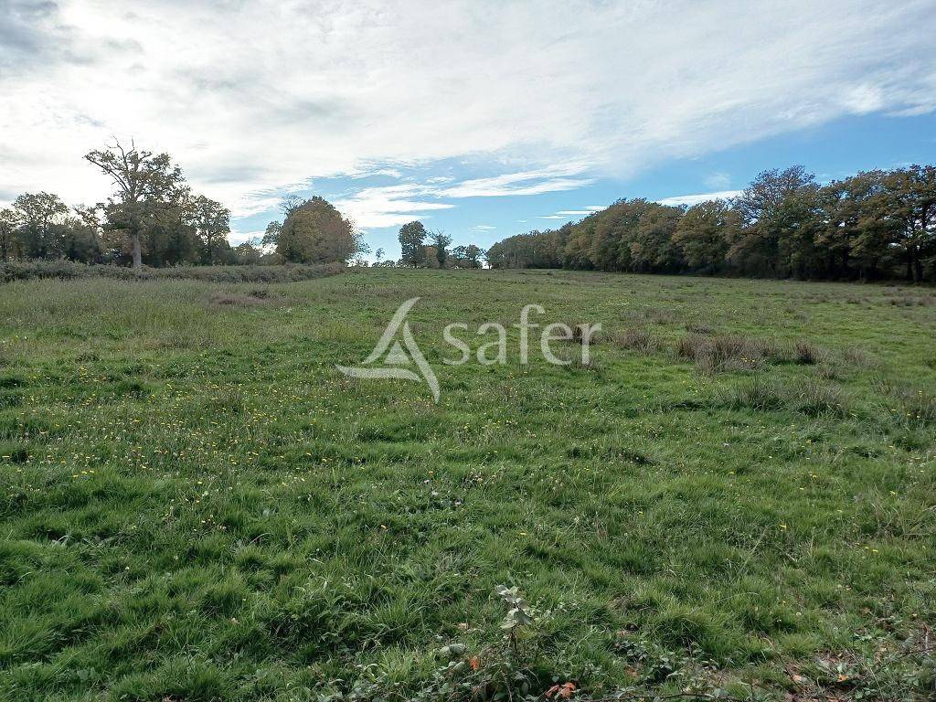 Landbouw bedrijf Koop Haute-Vienne