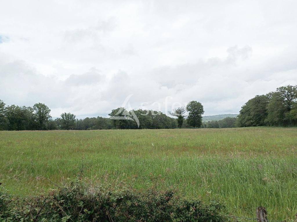 Landbouw bedrijf Koop Haute-Vienne