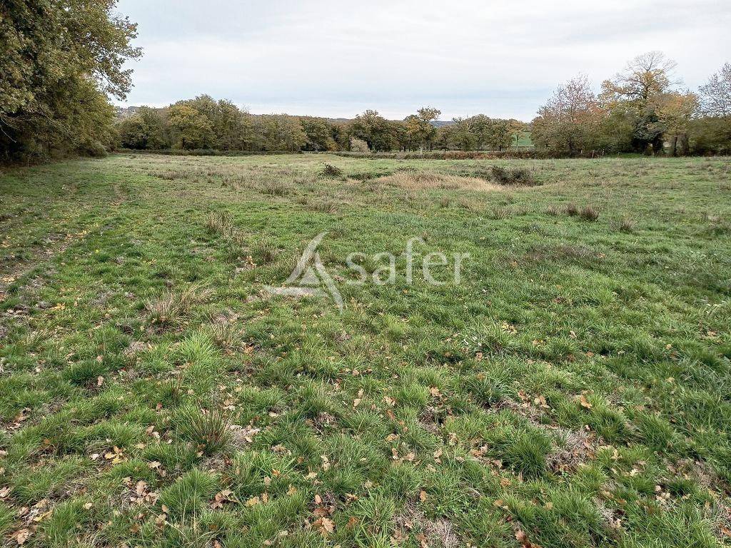 Landbouw bedrijf Koop Haute-Vienne
