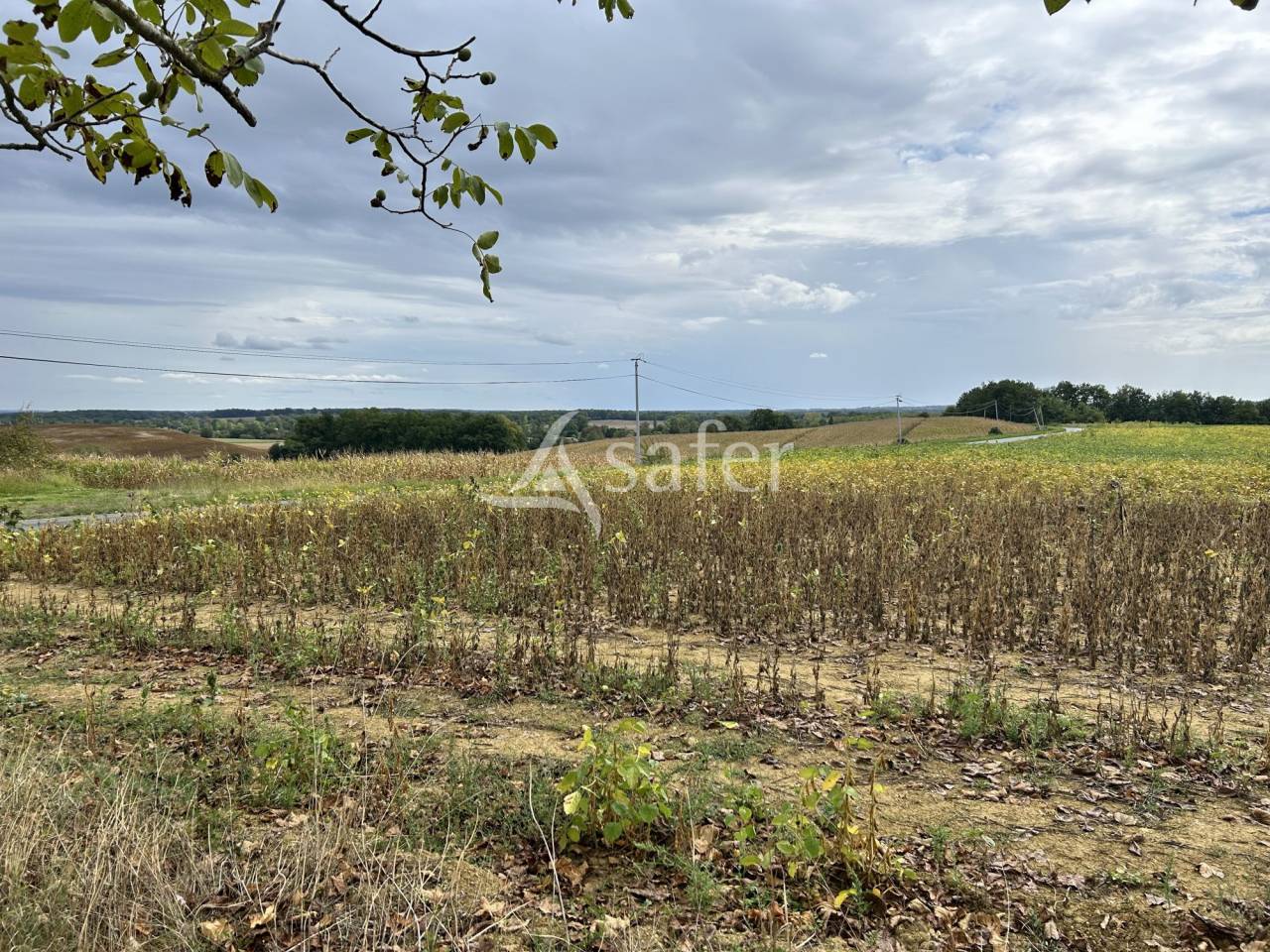 Landbouw bedrijf Koop Lot-et-Garonne