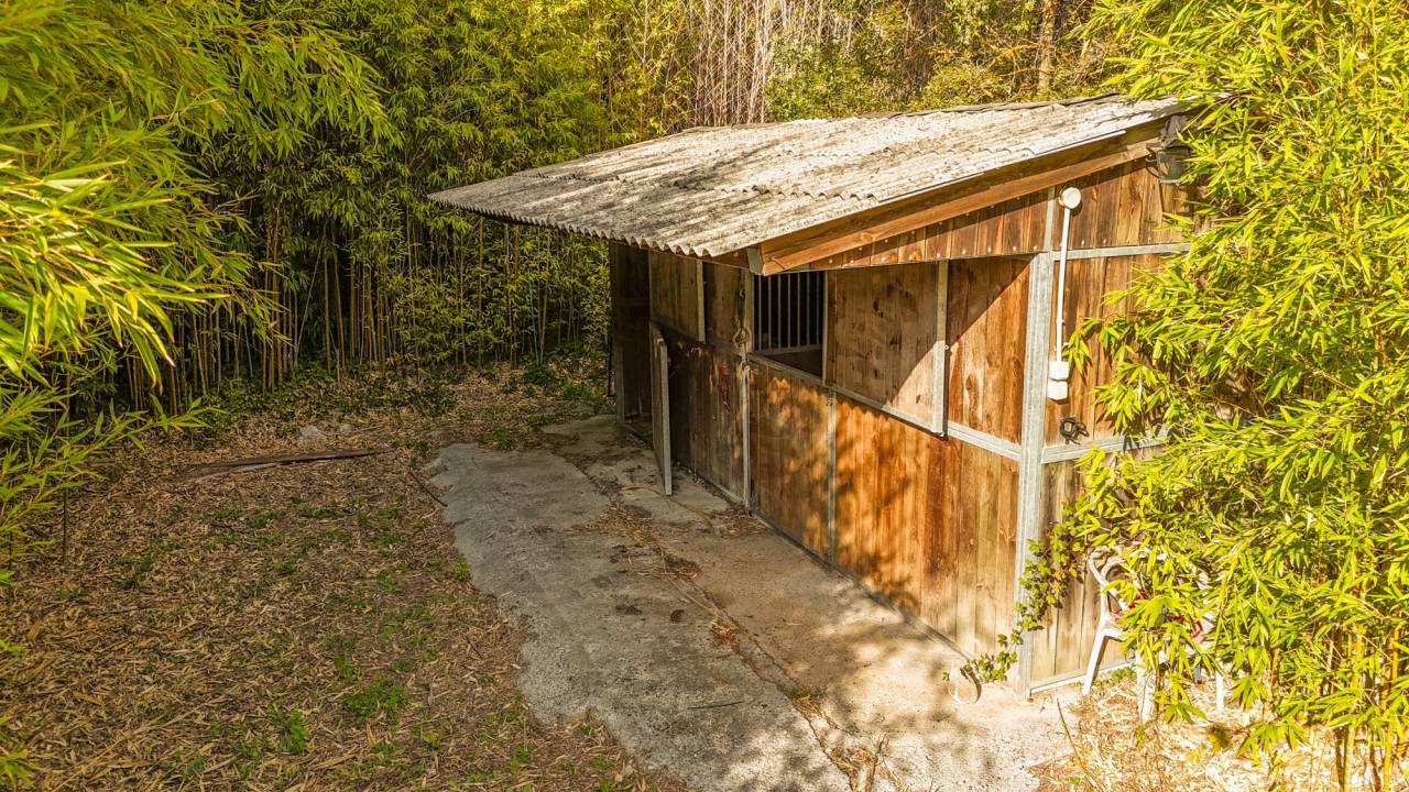 Hippisch vastgoed Koop Var