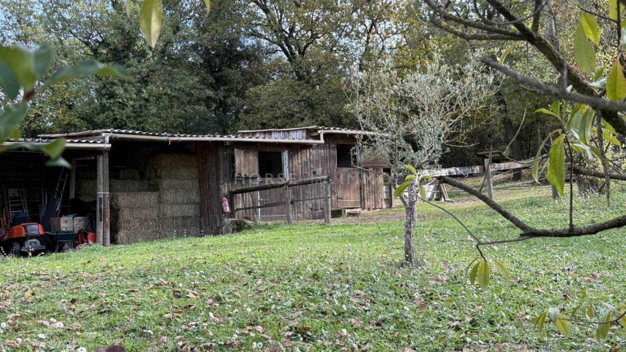 Hippisch vastgoed Koop Var