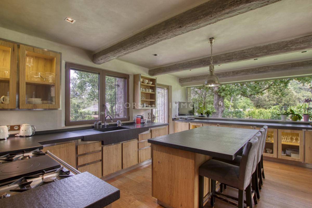 Stoeterij Koop Alpes-Maritimes