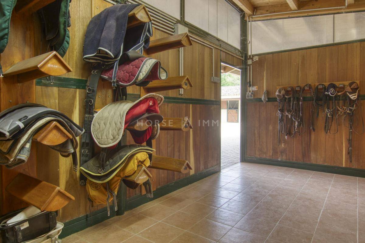 Stoeterij Koop Alpes-Maritimes