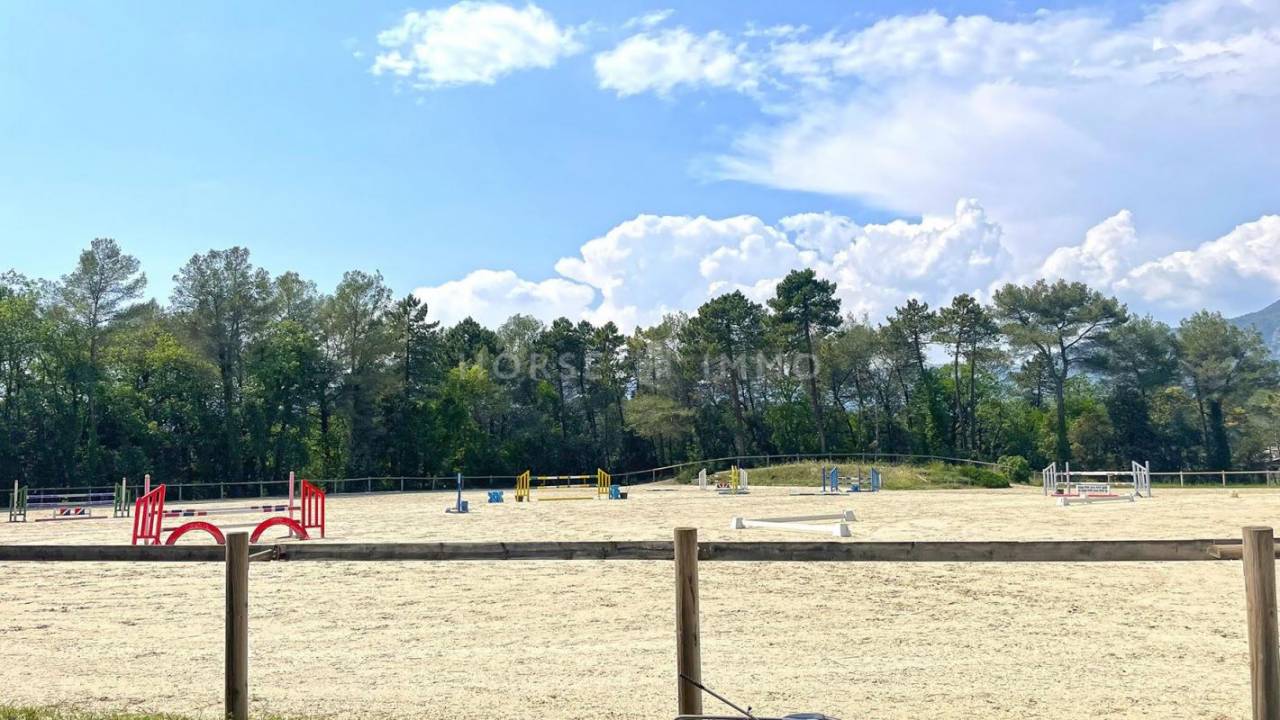 Stoeterij Koop Alpes-Maritimes