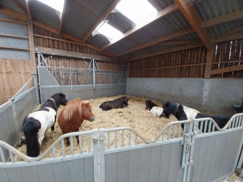 Eigenaren stal Koop Deux-Sèvres