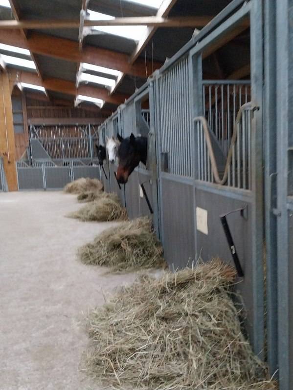 Eigenaren stal Koop Deux-Sèvres