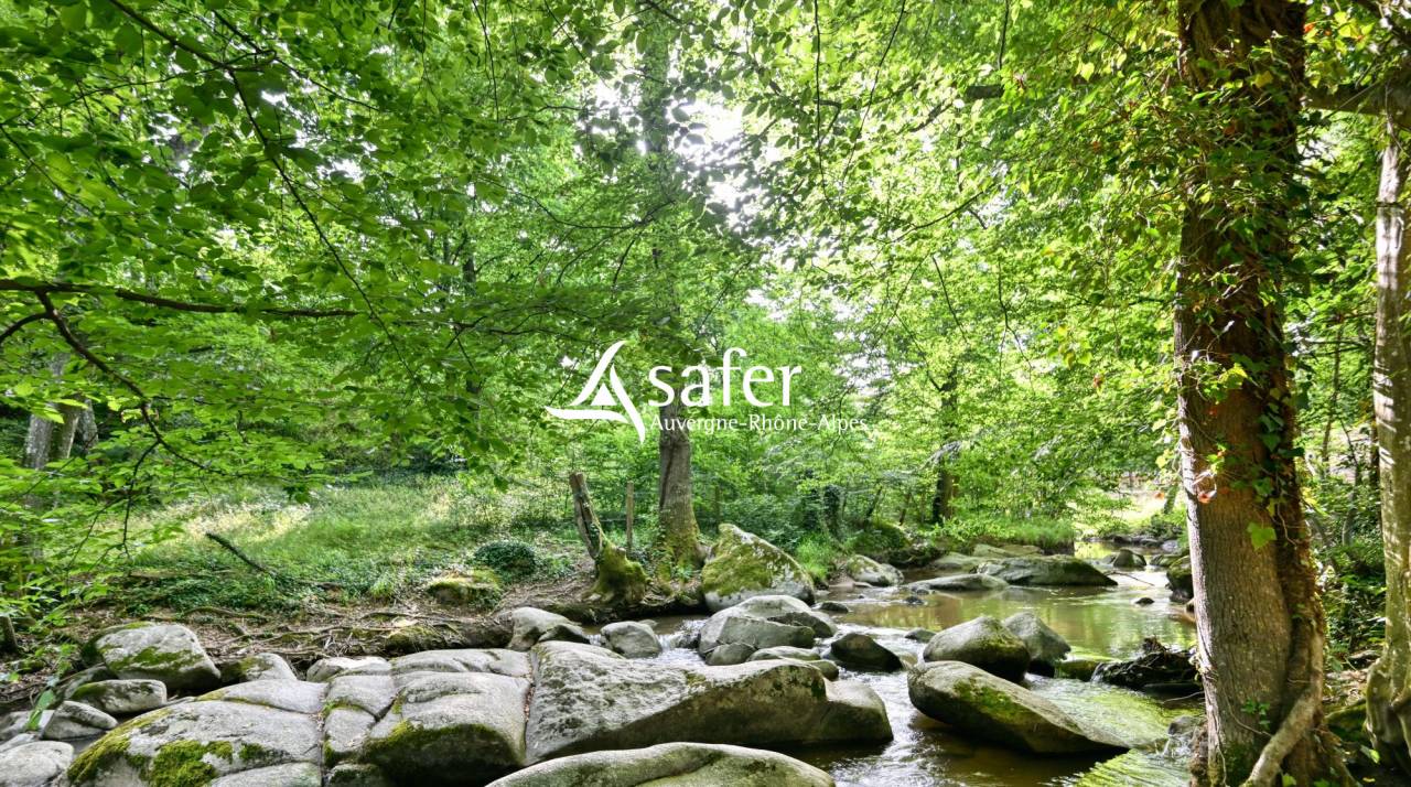 Ander plattelands vastgoed Koop Rhône