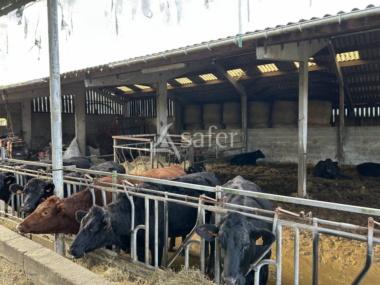 Landbouw bedrijf Koop Lot-et-Garonne