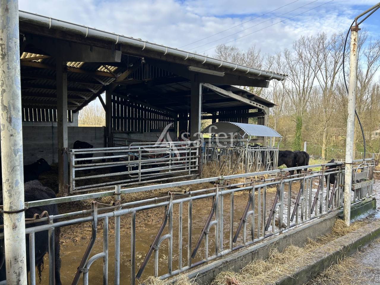 Landbouw bedrijf Koop Lot-et-Garonne