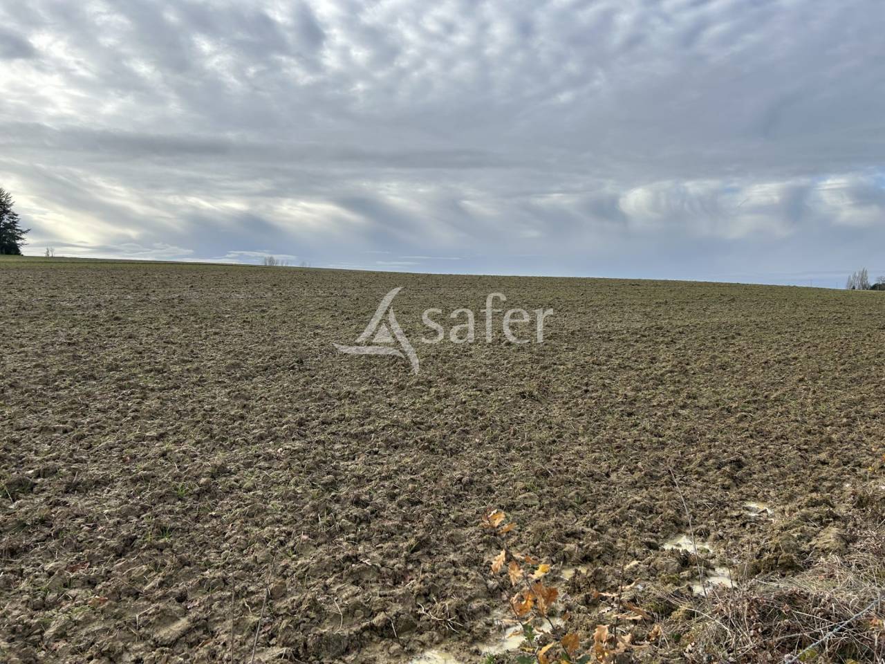 Landbouw bedrijf Koop Lot-et-Garonne