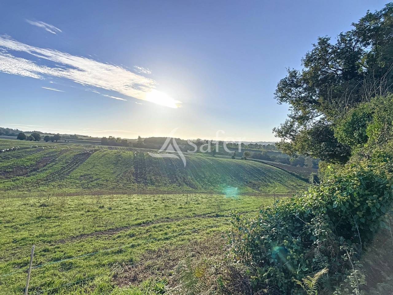 Ander plattelands vastgoed Koop Vendée