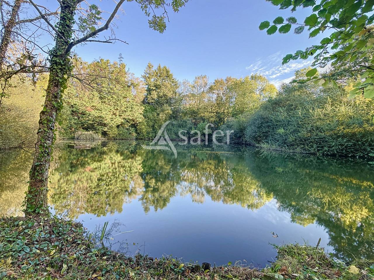 Ander plattelands vastgoed Koop Vendée