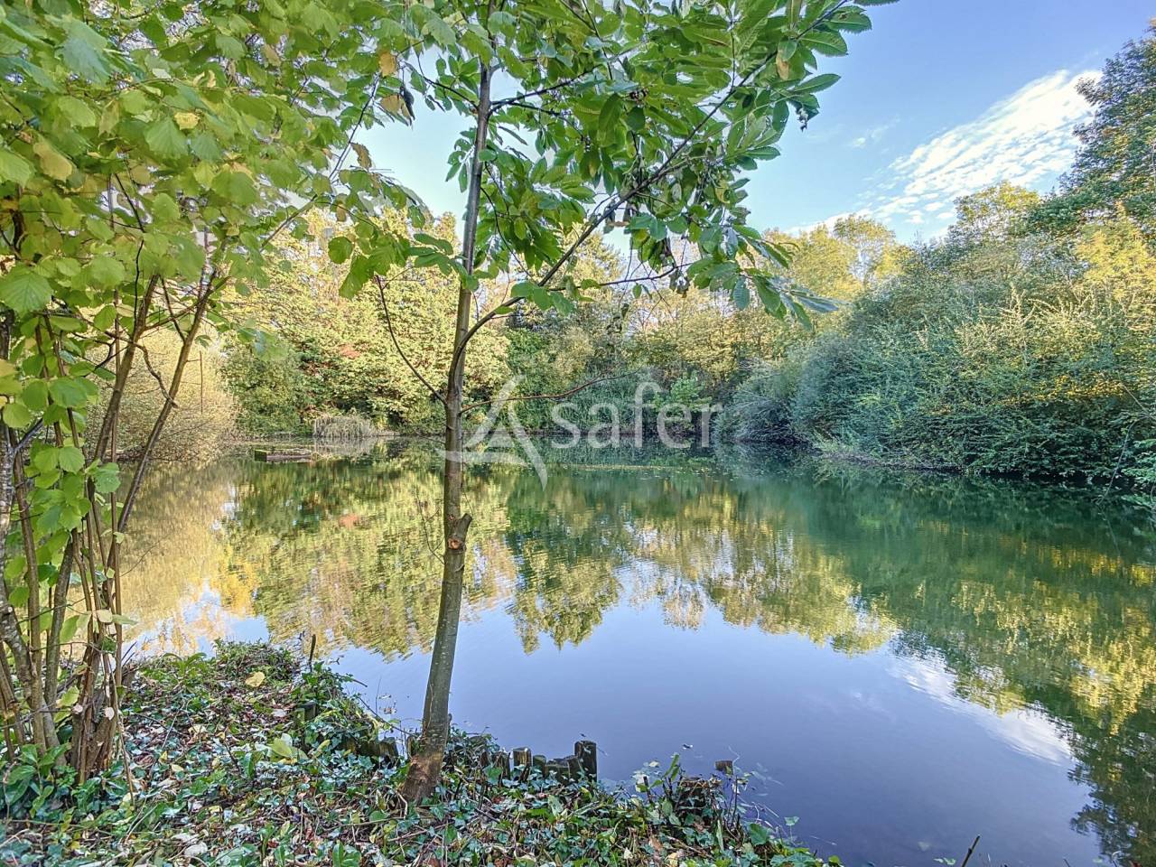 Ander plattelands vastgoed Koop Vendée