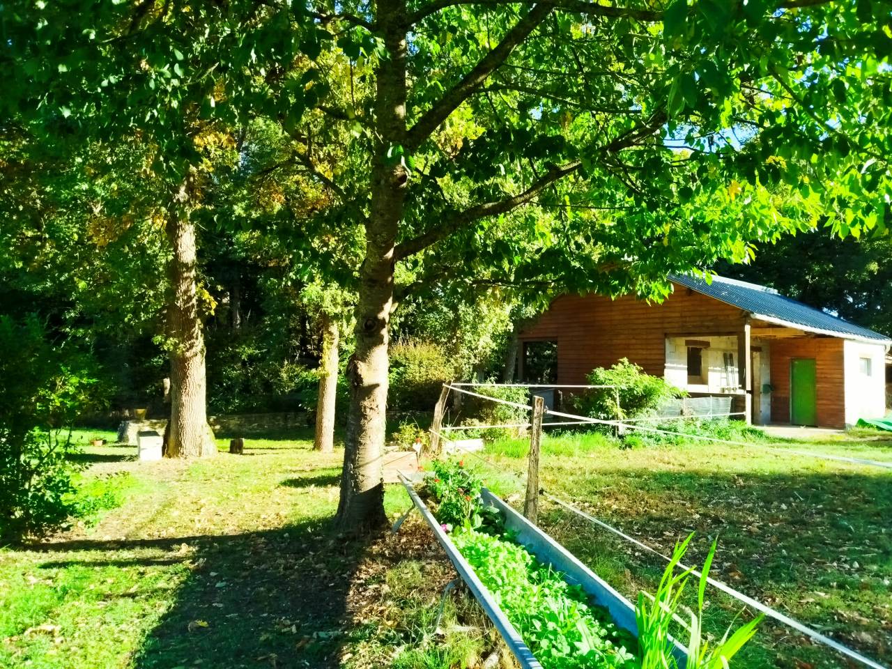 Mooi hippisch vastgoed Koop Indre-et-Loire