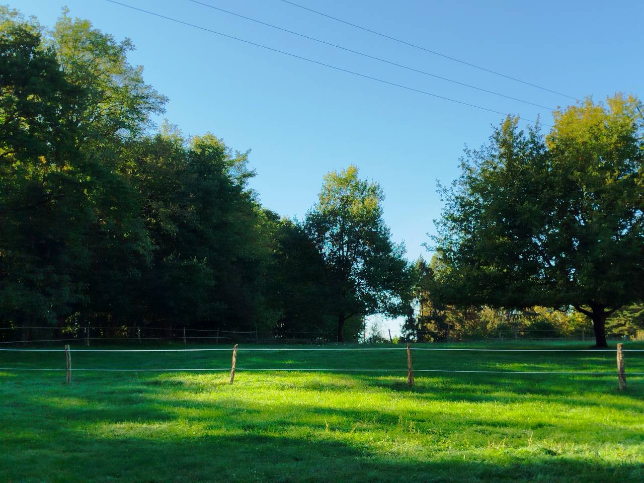 Mooi hippisch vastgoed Koop Indre-et-Loire