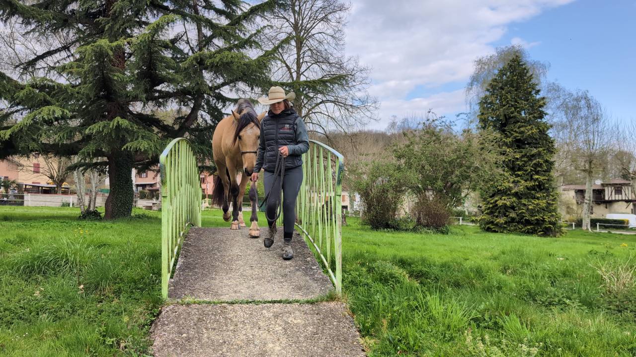 Ruin PRE Puur Ras Spaans Te koop 2021 Isabel