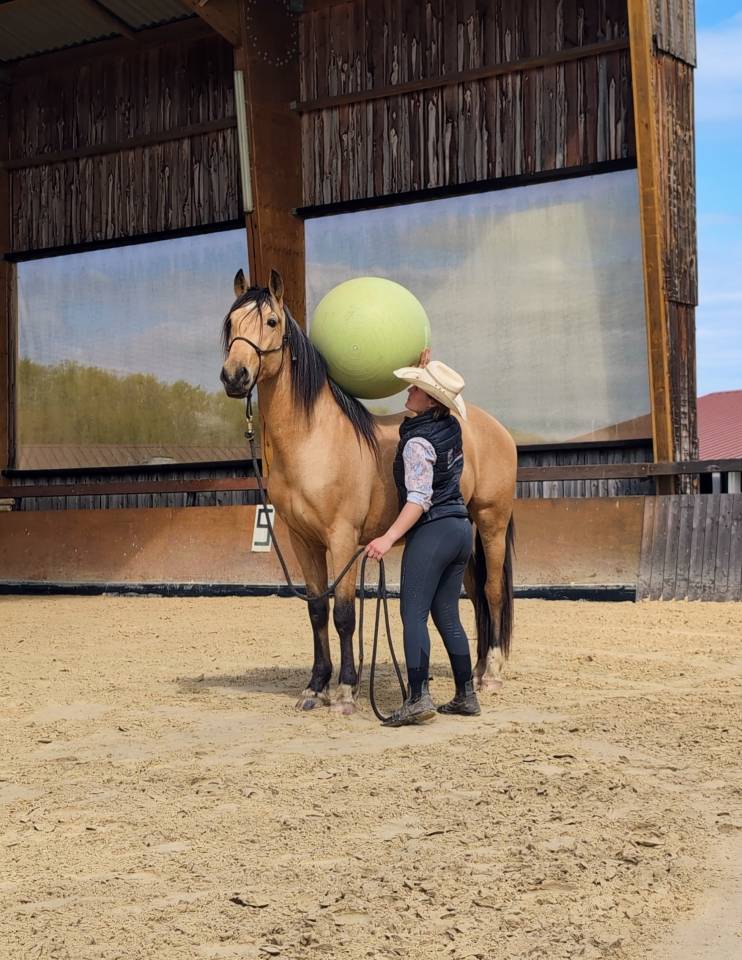 Ruin PRE Puur Ras Spaans Te koop 2021 Isabel