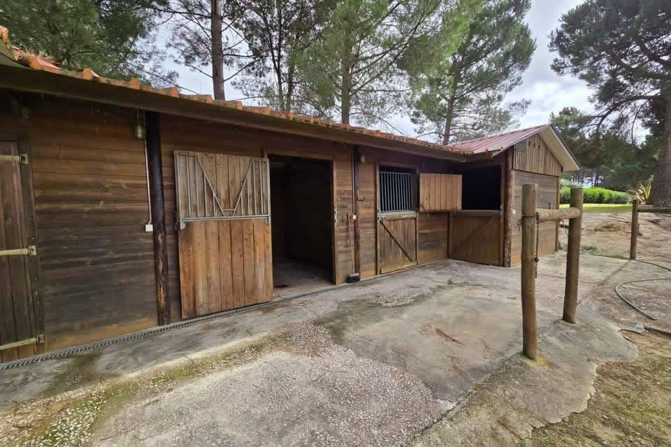 Hippisch vastgoed Koop 