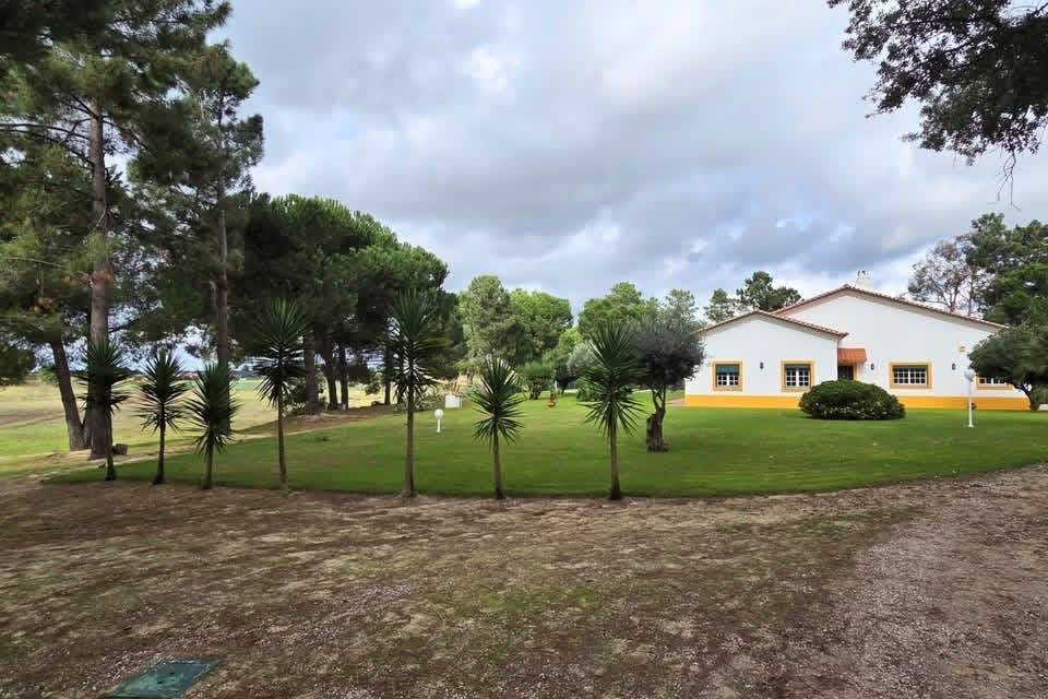 Hippisch vastgoed Koop 