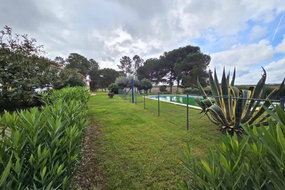 Hippisch vastgoed Koop 