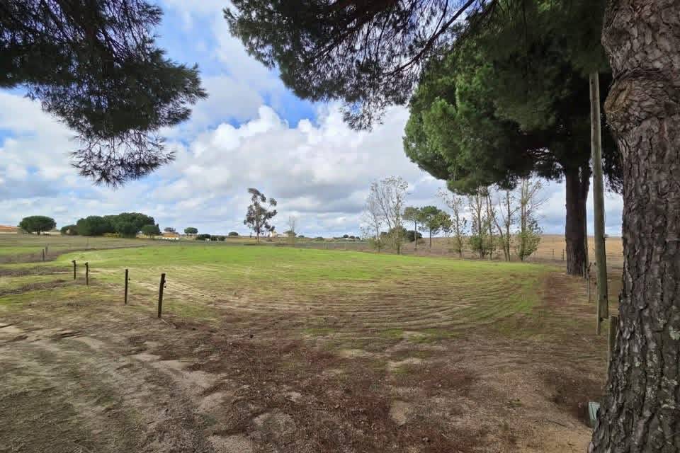 Hippisch vastgoed Koop 