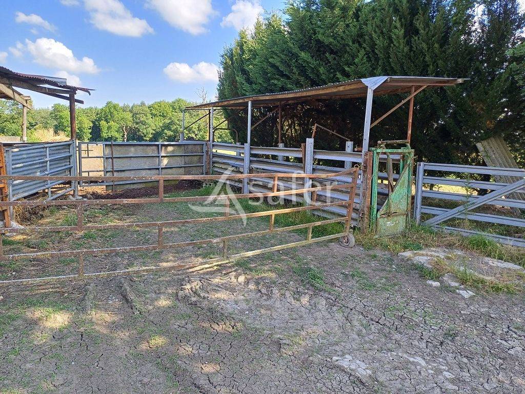 Landbouw bedrijf Koop Haute-Vienne