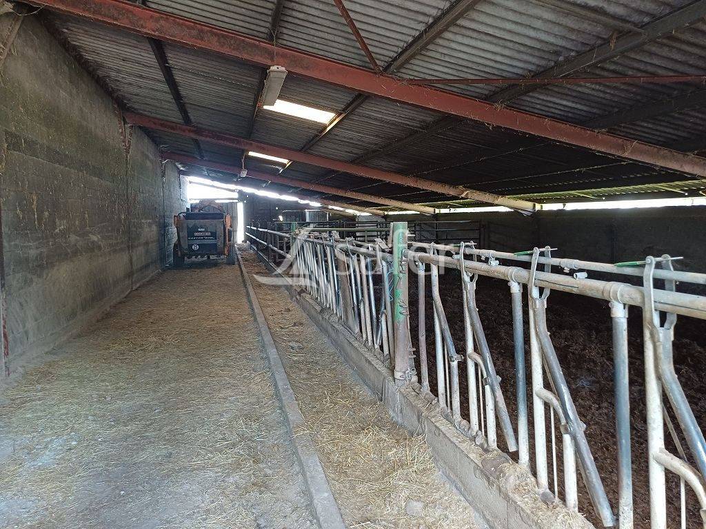 Landbouw bedrijf Koop Haute-Vienne