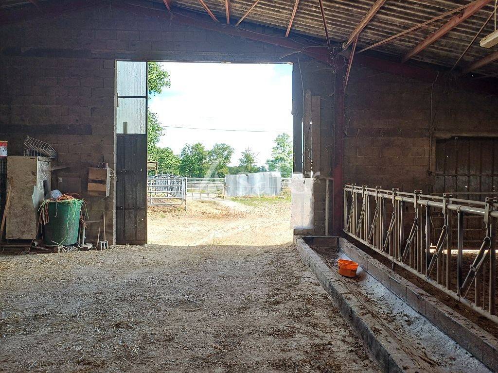 Landbouw bedrijf Koop Haute-Vienne