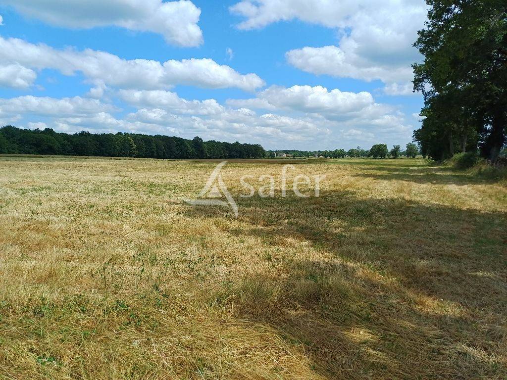 Landbouw bedrijf Koop Haute-Vienne