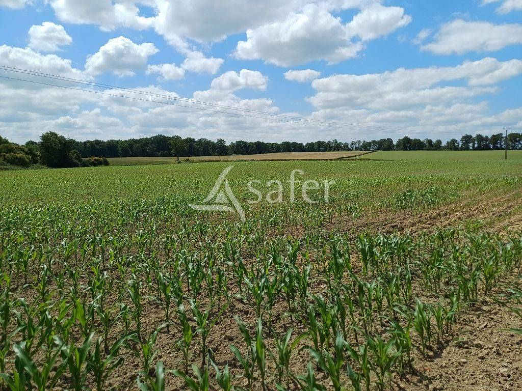 Landbouw bedrijf Koop Haute-Vienne