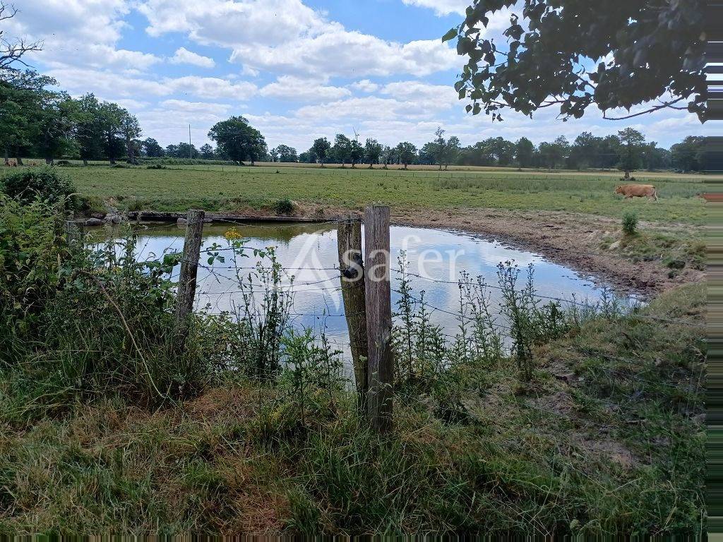 Landbouw bedrijf Koop Haute-Vienne
