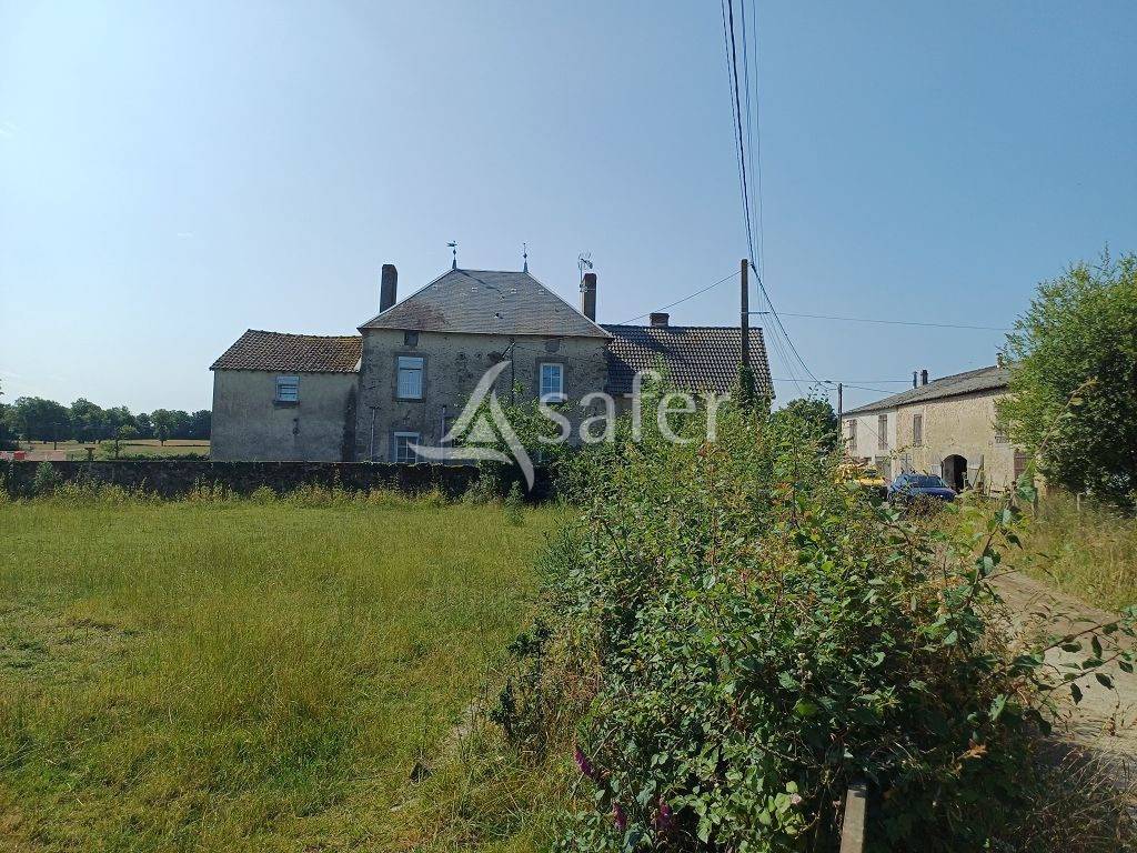 Schapen exploitatie Koop Haute-Vienne