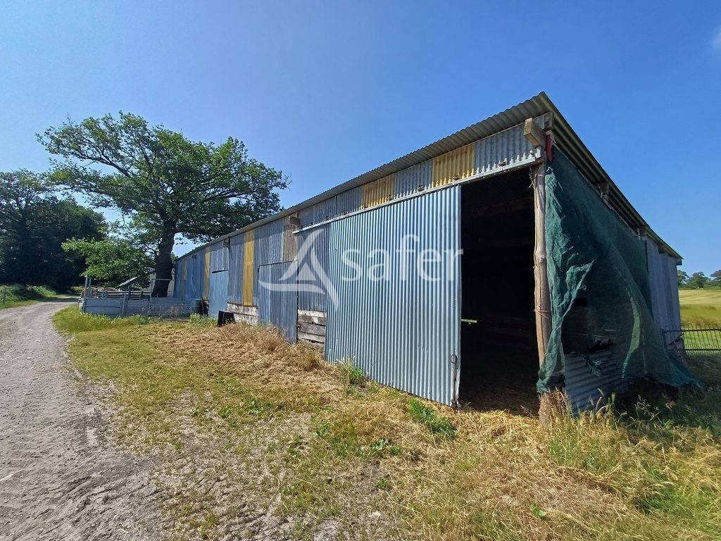 Schapen exploitatie Koop Haute-Vienne