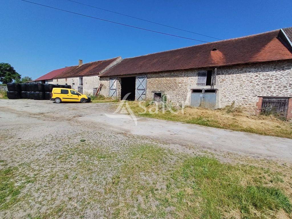 Schapen exploitatie Koop Haute-Vienne