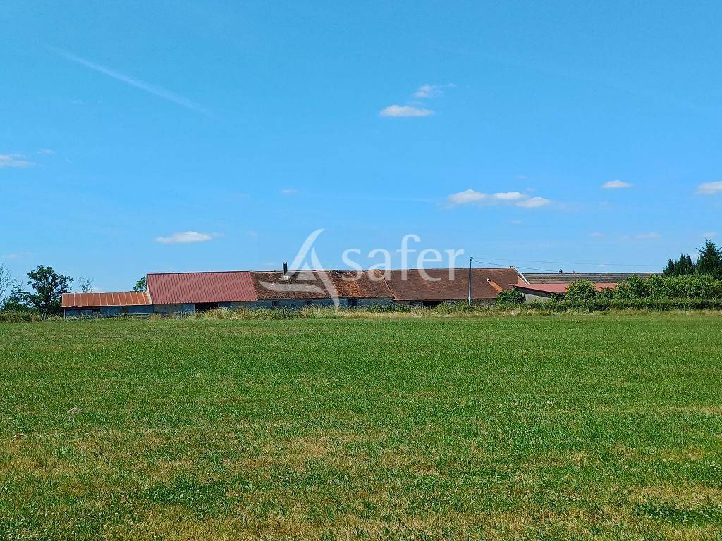 Schapen exploitatie Koop Haute-Vienne